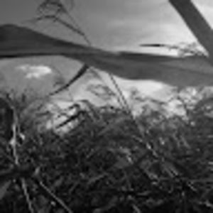 Meet your Posher, Jared